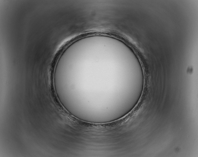 X0000101711214200807101401