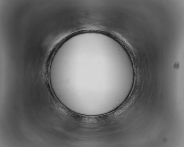 X0000101711215200807101401
