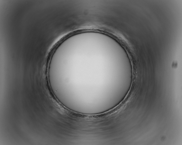 X0000101711216200807101401