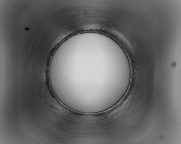X0000101711217200807101401