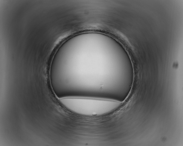 X0000101711218200807101401