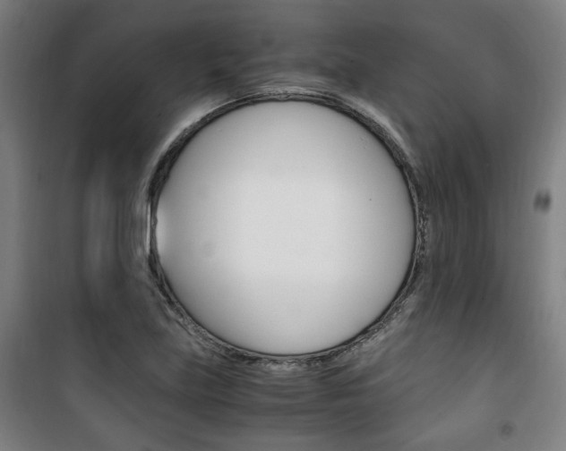 X0000101711219200807101401