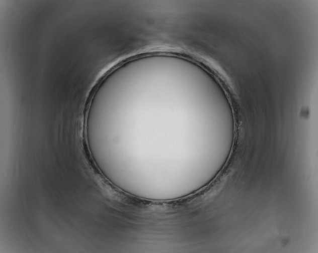 X0000101711220200807101401