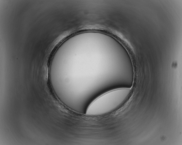 X0000101711221200807101401