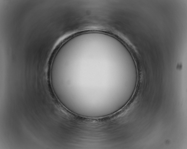 X0000101711222200807101401