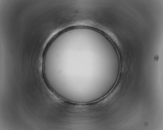 X0000101711224200807101401
