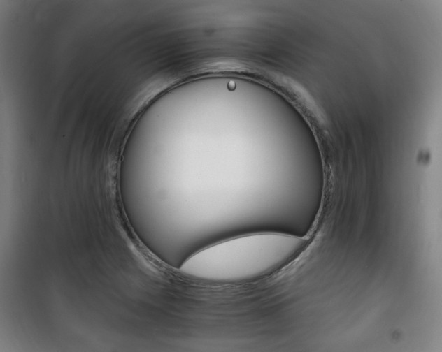 X0000101711225200807101401