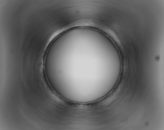 X0000101711226200807101401