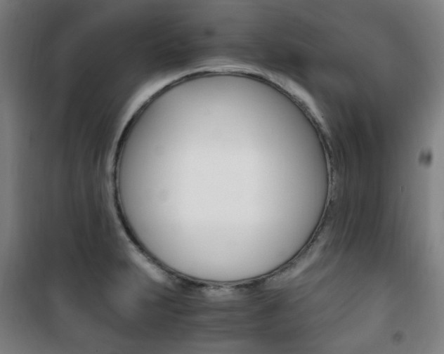 X0000101711231200807101401