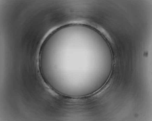 X0000101711232200807101401