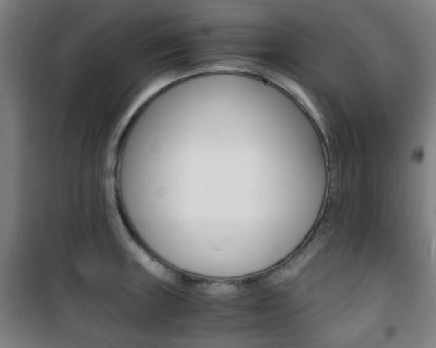 X0000101711235200807101401