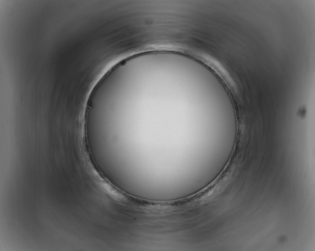 X0000101711236200807101401