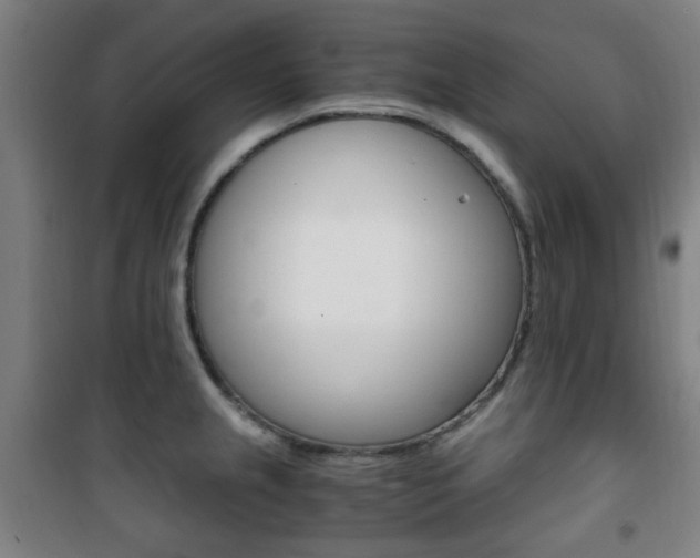 X0000101711237200807101401