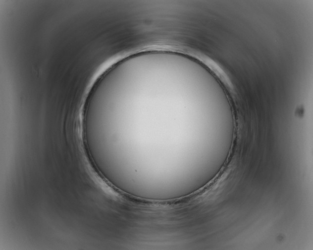 X0000101711238200807101401