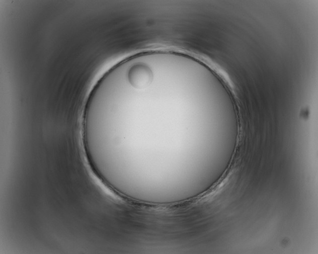 X0000101711239200807101401
