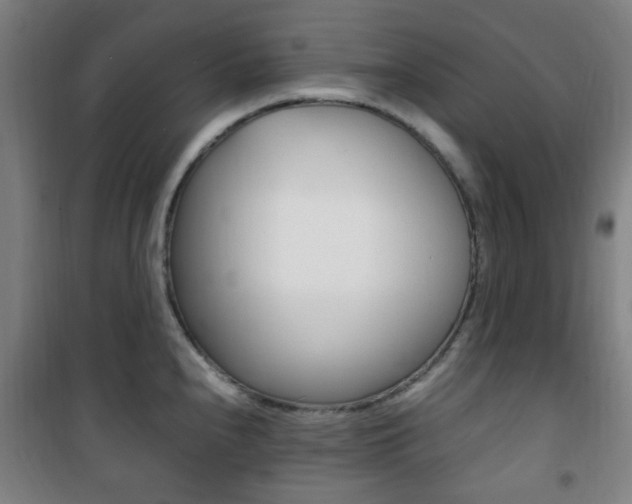 X0000101711240200807101401