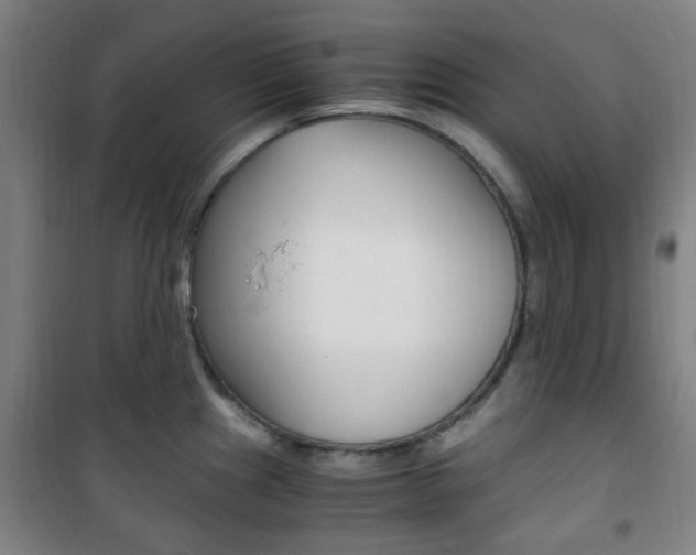 X0000101711241200807101401