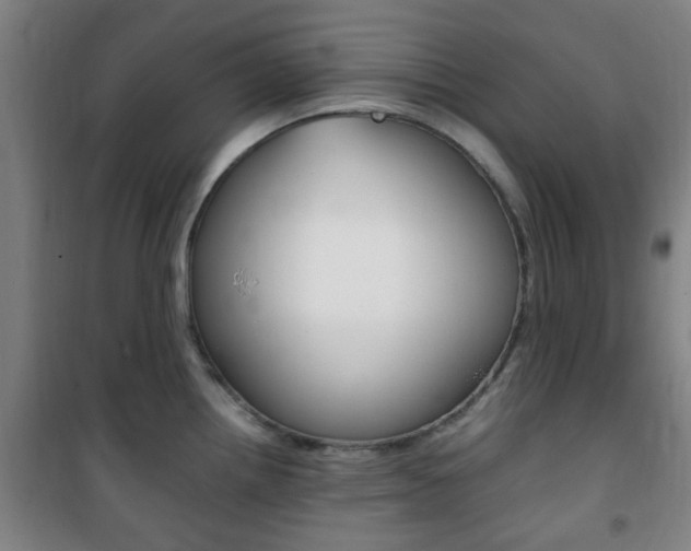 X0000101711242200807101401