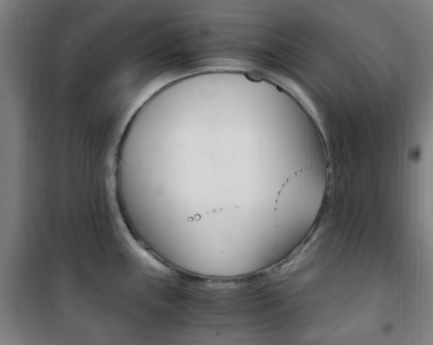 X0000101711243200807101401