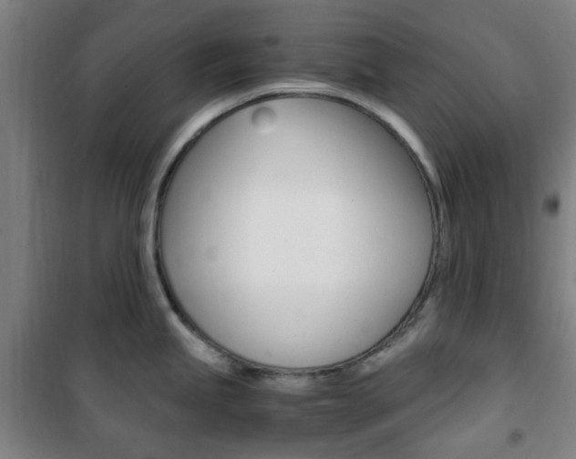 X0000101711245200807101401