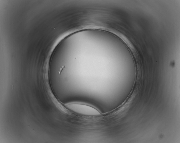 X0000101711246200807101401