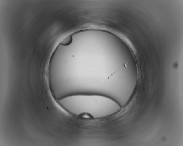 X0000101711247200807101401