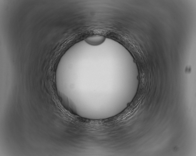 X0000101711249200807101400
