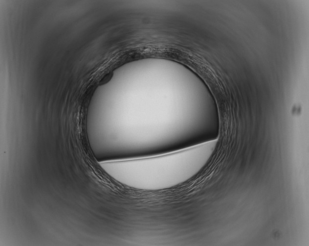 X0000101711250200807101400