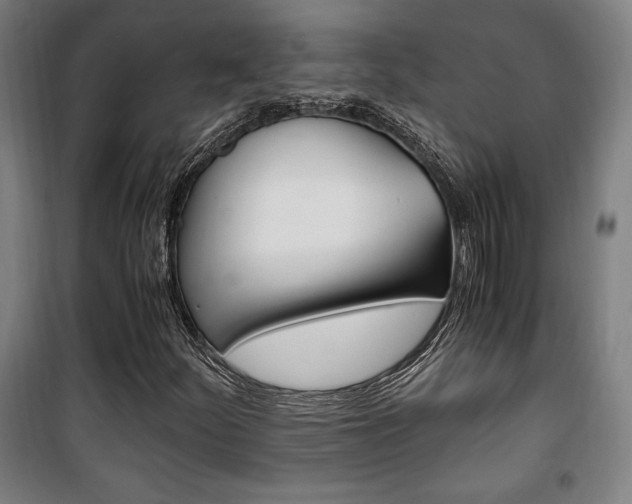 X0000101711252200807101400