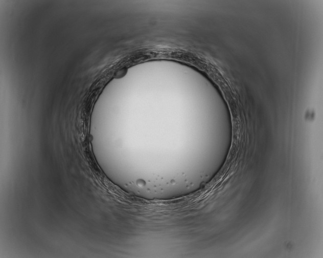 X0000101711253200807101400