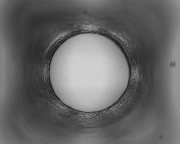 X0000101711254200807101400