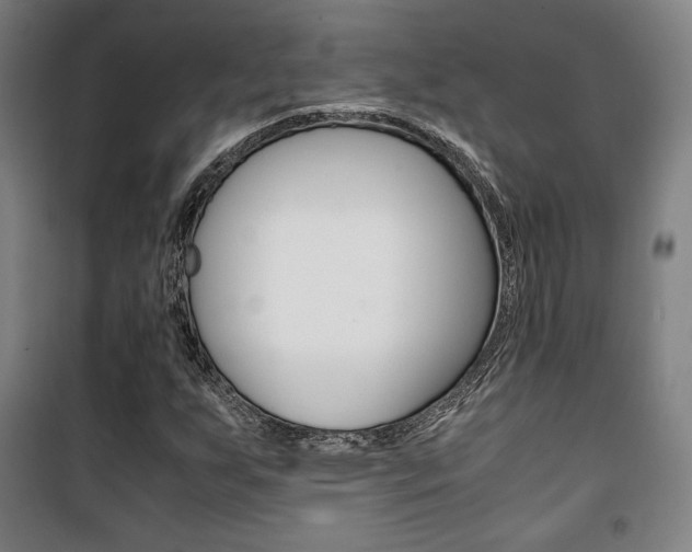 X0000101711255200807101400