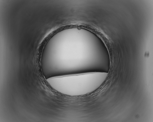 X0000101711256200807101400