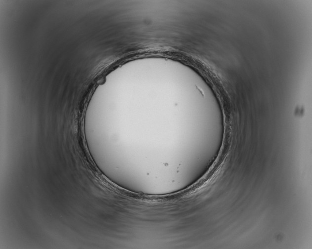 X0000101711257200807101400