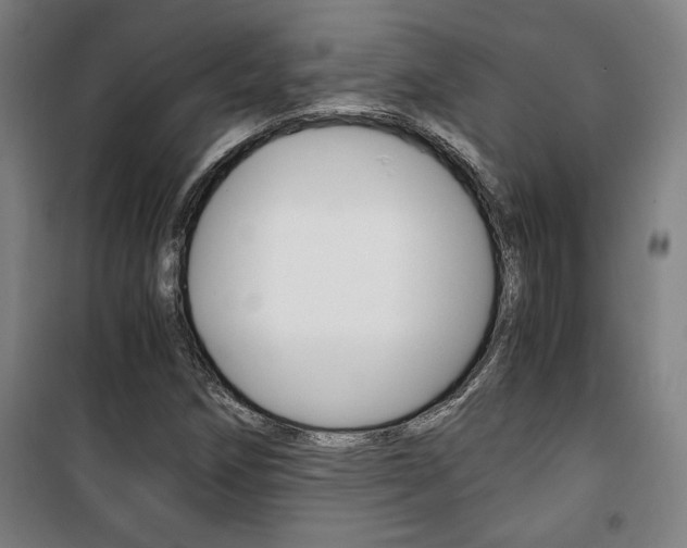 X0000101711258200807101400