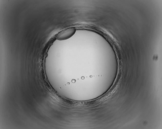 X0000101711259200807101400