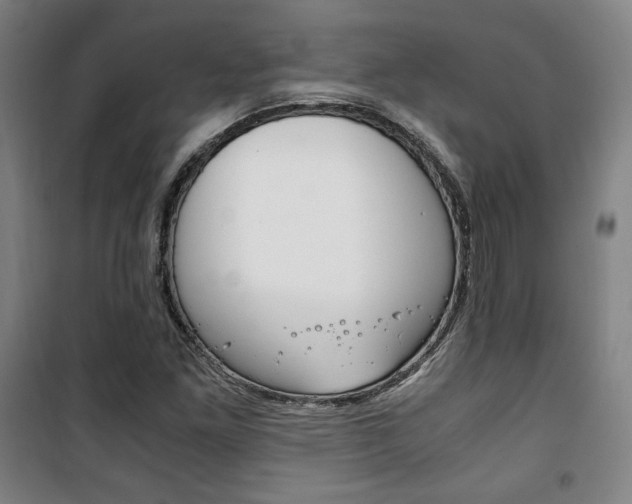 X0000101711261200807101400