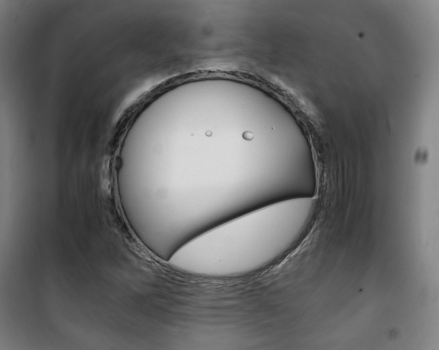 X0000101711262200807101400