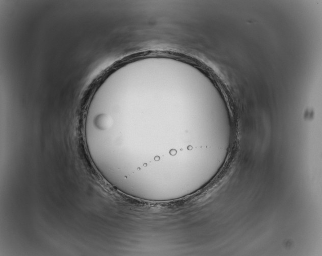 X0000101711263200807101400