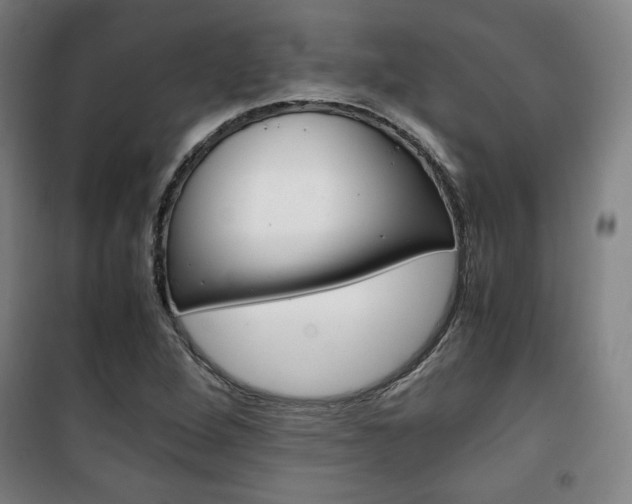 X0000101711264200807101400