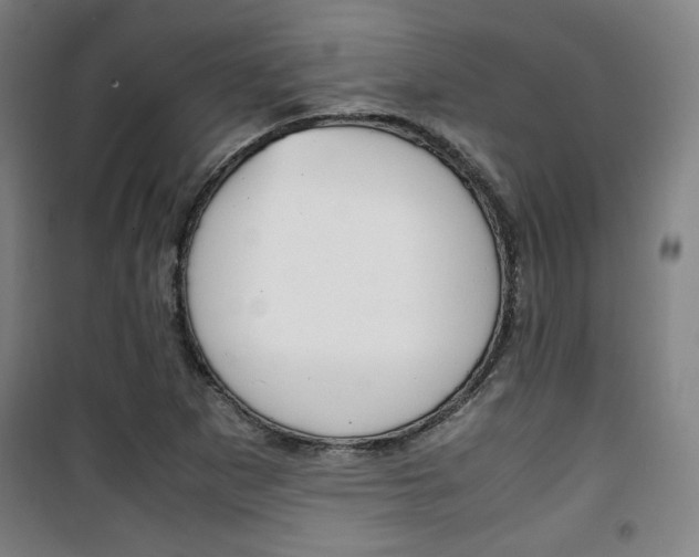 X0000101711265200807101400