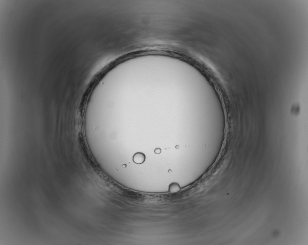 X0000101711267200807101400
