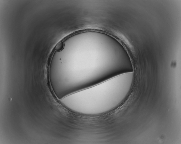 X0000101711268200807101400