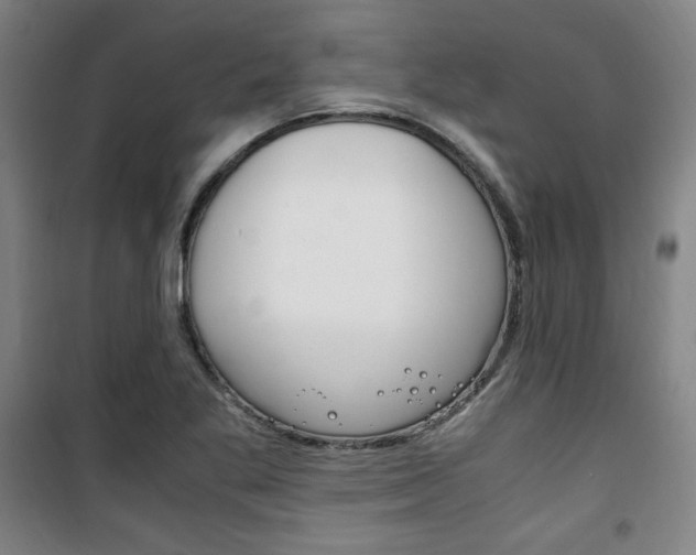 X0000101711269200807101400