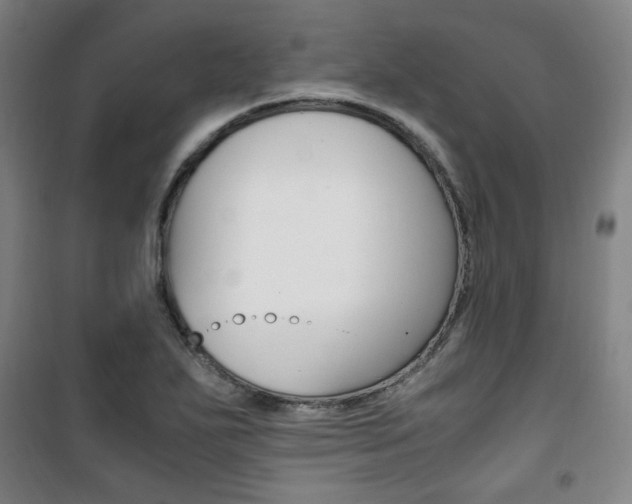 X0000101711271200807101400