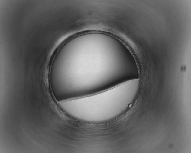 X0000101711272200807101400