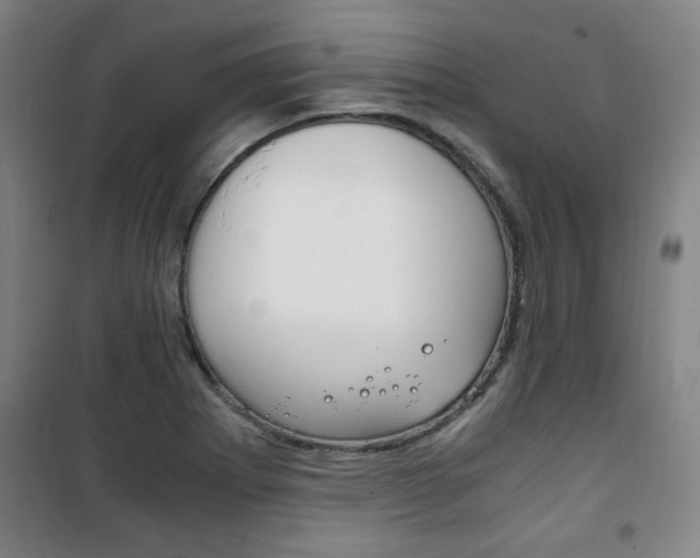 X0000101711273200807101400