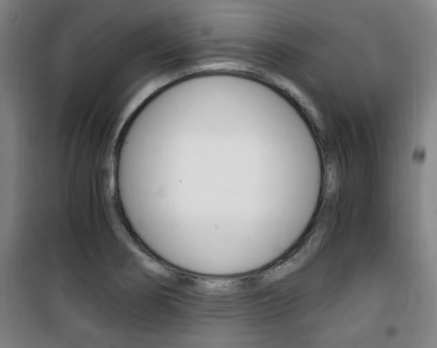 X0000101711274200807101400