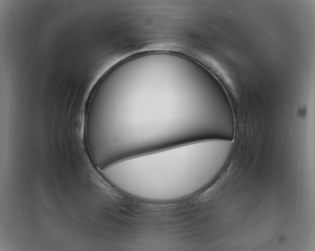 X0000101711276200807101400