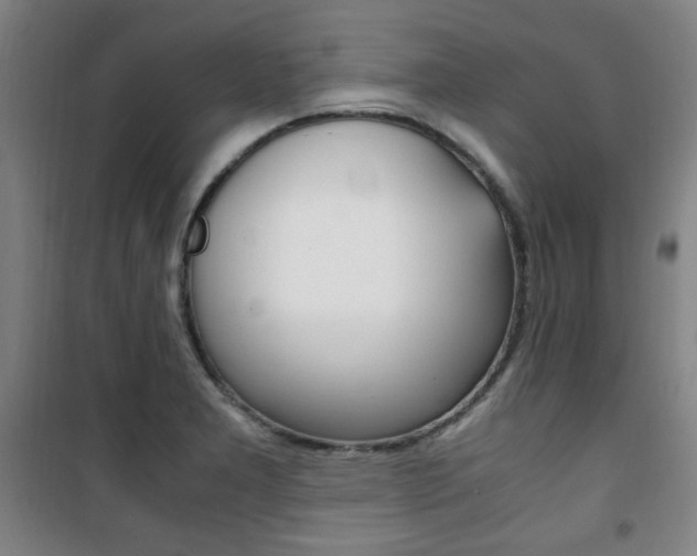 X0000101711277200807101400